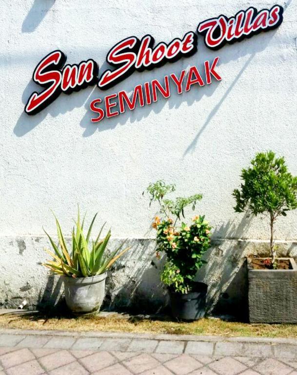 Sun Shoot *